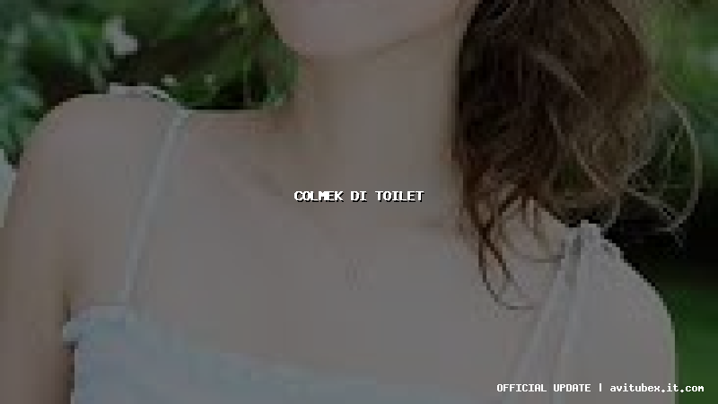 colmek di toilet