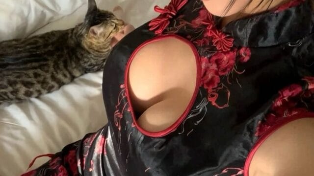 <Link:@ viral tobrut indo Hutan  =  2026