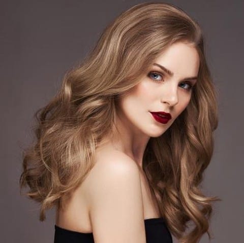 News: yang viral di indo  |  via telegram |Perpustakaan==